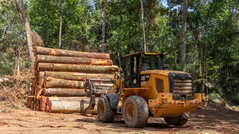 Broyeur forestier vs débroussailleuse : quelles différences selon l&rsquo;usage ?