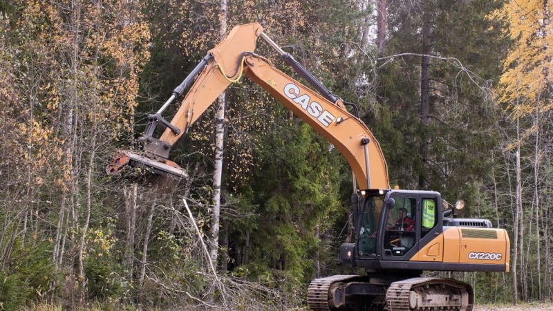 Quels outils utiliser pour le débroussaillage préventif et l’entretien forestier ?